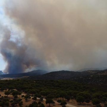 b98f0e33-2a21-4479-a0c3-f1dee89315ef Incendies de forêt en Espagne : évacuations et dégâts considérables