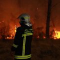 Les enjeux des incendies de forêt en France et leur rapport au changement climatique