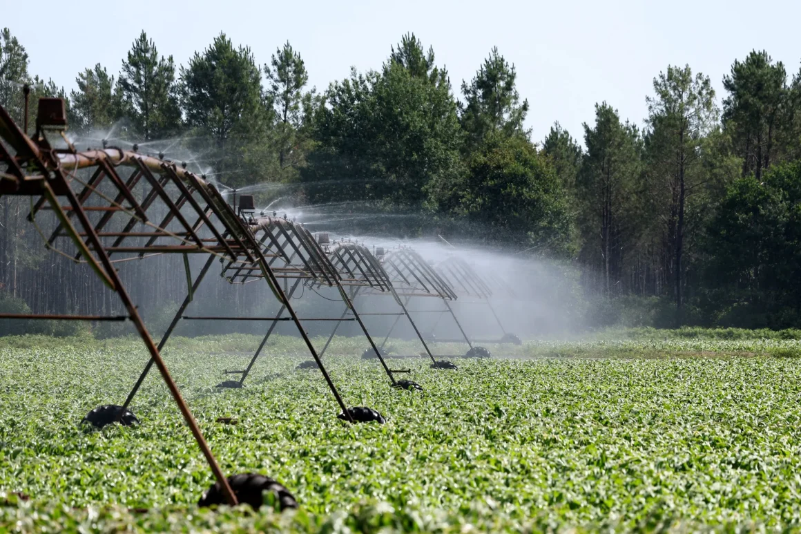 La gestion de l’eau dans le contexte de l’urgence agricole