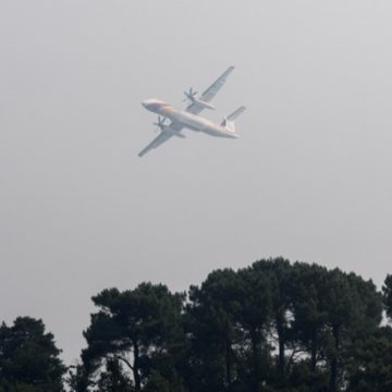 d2ec2fde-97eb-4a38-ac37-0649c7456aca Un incendie d’une ampleur exceptionnelle ravage la forêt de Fontainebleau