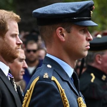 de10e5c6-3185-4004-a810-ac8995c2e545 Harry et William : une relation brisée