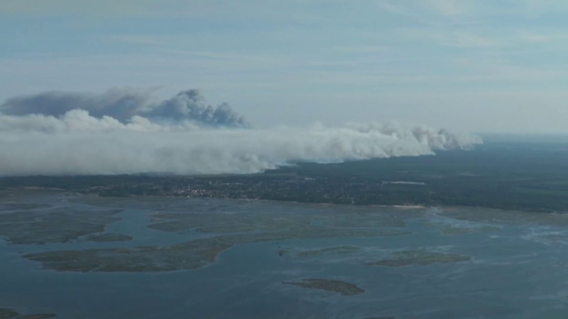 Incendies en France : Bilan et Mesures de Précaution