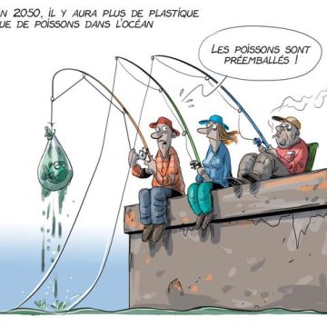ea65b9b1-222e-4375-811b-7135be082eda Les pièges à déchets : une solution pour désencombrer les plans d’eau