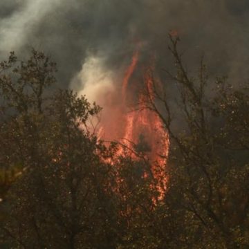Un suspect d’incendie volontaire à Ollioules jugé
