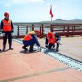Le Nouveau Pont entre la Russie et la Corée du Nord : Entre Commerce et Stratégie