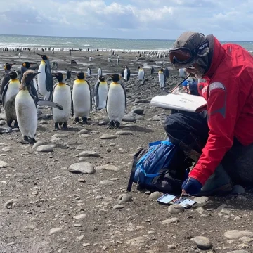 f10b62c2-d4f4-4b0e-95fb-2c8307e30b93 Voyage aux îles Kerguelen: Une immersion artistique et humaine