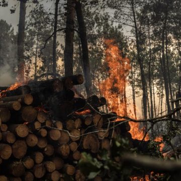 Incendies de forêt en Europe : Une crise persistante