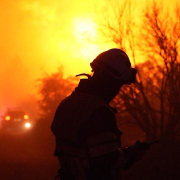 f78b7be8-ac21-413a-83ee-786b2188ee42 Incendies de forêt : une situation alarmante en France et au Portugal