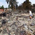 Actualité sur les incendies et la sécheresse en Europe et aux États-Unis