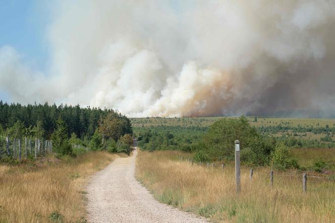 0467e739-9ec8-43db-b425-8afd36b28909 Incendie majeur dans les Hautes Fagnes, Belgique: l’assistance internationale activée