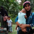 Montée de la Xénophobie envers les Rohingya en Malaisie