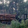 L&rsquo;affaire de la création controversée d&rsquo;un pare-feu en Gironde