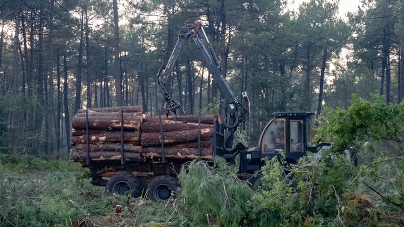 0767127c-e1a9-4802-b2f1-4594a614e904 L’affaire de la création controversée d’un pare-feu en Gironde