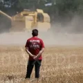 Conséquences de la Canicule et Sécheresse de l&rsquo;Été sur les Cultures
