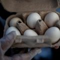 Trois producteurs d&rsquo;œufs sanctionnés pour entente sur les prix aux États-Unis