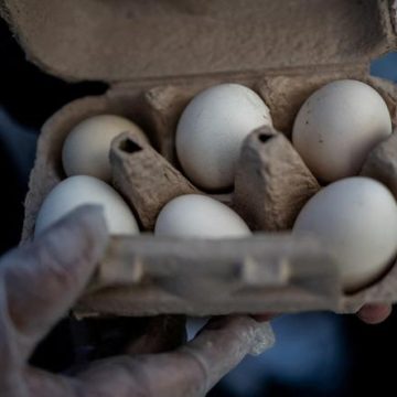Trois producteurs d&rsquo;œufs sanctionnés pour entente sur les prix aux États-Unis