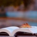 Les Nouveaux Thrillers Psychologiques de la Rentrée Littéraire
