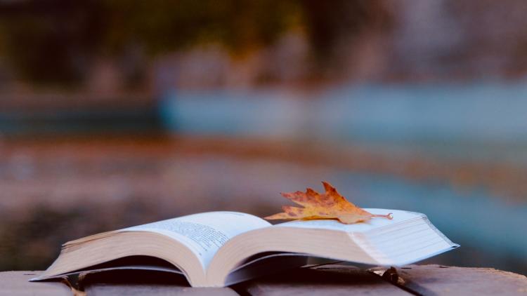 1817f184-4420-4726-86b5-e11d6c6527dd Les Nouveaux Thrillers Psychologiques de la Rentrée Littéraire