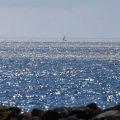 Renommage du Lac Ontario par Donald Trump