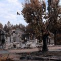 Un Été Dévastateur : Les Incendies en France en 2026