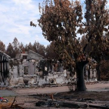 Un Été Dévastateur : Les Incendies en France en 2026