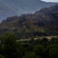 Incendies dans le sud-est de la France : une situation préoccupante