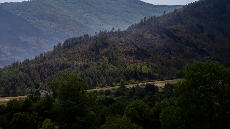 1e14c86d-f6c8-4534-8856-c10973e5d849 Incendies dans le sud-est de la France : une situation préoccupante