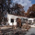 Incendies en Gironde, Landes et Var : bilan des sinistres et coûts