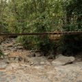 Sécheresse : un défi majeur pour les cours d&rsquo;eau en Europe