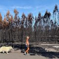 Alerte aux incendies et mobilisation dans plusieurs régions de France et d’Europe