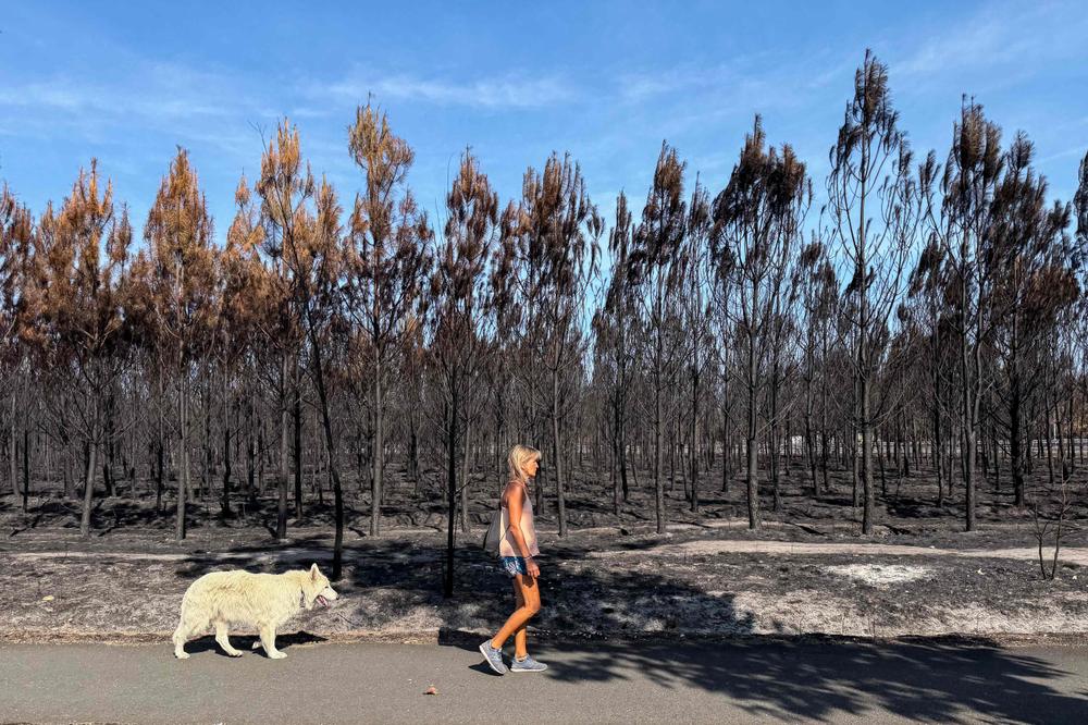 220e9ed8-fb60-4c5c-9b83-715bd8a42dc6 Alerte aux incendies et mobilisation dans plusieurs régions de France et d’Europe