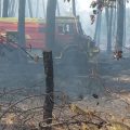 Incendies dans le Sud de la France : Situation et Efforts des Pompiers