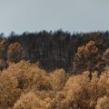 Incendies sur le massif du Gros Bessillon