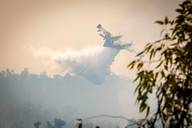 2757a5fc-41df-48ab-9655-dc61675e25a4 Un incendie en Andalousie continue de s’intensifier