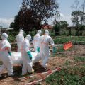 L&rsquo;épidémie du variant Bundibugyo d&rsquo;Ebola en RDC : une crise sanitaire grave