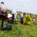 Conflit meurtrier dans la région du Plateau, au Nigeria