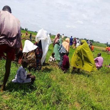 2f216855-27e1-4475-a87a-ec126b1d7c61 Conflit meurtrier dans la région du Plateau, au Nigeria