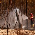 Synthèse des événements récents : Incendies, drames et déclarations internationales