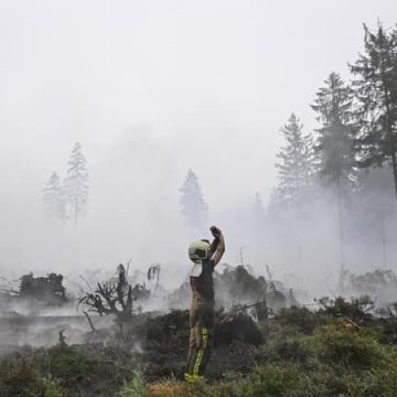 État actuel de l&rsquo;incendie dans le parc naturel des Hautes Fagnes