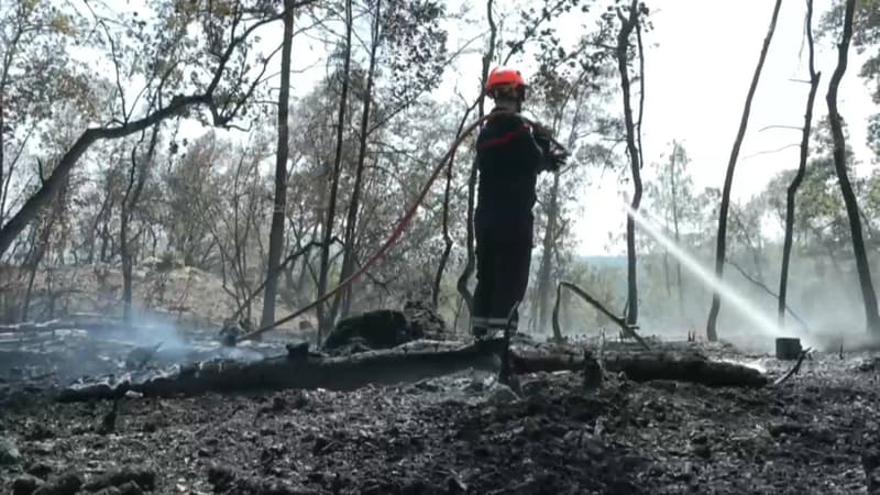 32f55df4-9351-471c-9817-47f69ad3e685 Les pompiers du Var face à un nouvel épisode à haut risque