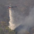 Vigilance pour feux de forêt : 39 départements en alerte