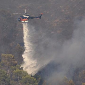 38234024-d394-423c-b801-8322293a7450 Vigilance pour feux de forêt : 39 départements en alerte