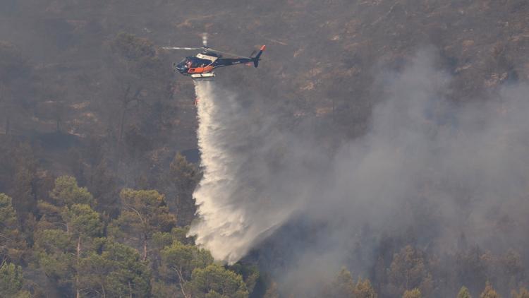 38234024-d394-423c-b801-8322293a7450 Vigilance pour feux de forêt : 39 départements en alerte