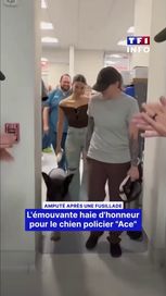 3983add6-7018-41fe-b134-9cb8e6065ef9 Hommage émouvant pour le chien policier Ace après une amputation