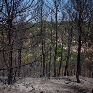 4030fca6-7f0a-4127-8200-62ab5ef2f012 Les incendies dans le Var sont enfin maîtrisés