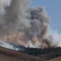 Incendie dévastateur à Reno : évacuations massives et état d&rsquo;urgence déclaré