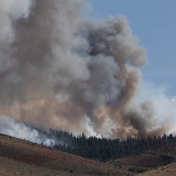 Incendie dévastateur à Reno : évacuations massives et état d&rsquo;urgence déclaré
