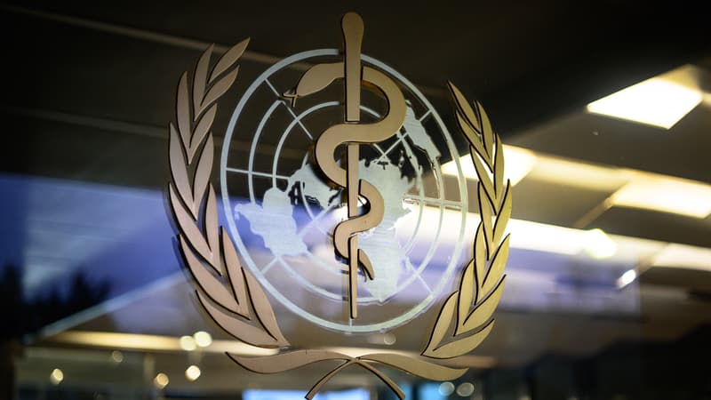 41b76842-fb16-418c-935f-89f28779ca8a Destruction d’un entrepôt de l’OMS en Ukraine : attaques contre les services de santé
