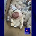Saisie par les douanes des Bouches-du-Rhône de jouets non conformes destinés aux enfants