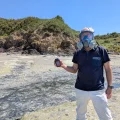 Les algues vertes envahissent les plages bretonnes en 2026